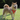 DUOMM TrailGuard No-Pull Dog Harness
