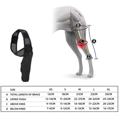 DogLemi Dog Leg Support Brace – Thigh Joint Protector