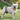 DogLemi Graphene Antibacterial Male Dog Diaper