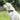 DogLemi Outdoor Pet Treat Bag