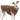 DogLemi® FrostGuard Winter Jacket