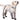 DogLemi® PawGuard Outdoor Boots