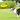 EETOYS Floating Rubber Dog Frisbee