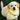 LaRoo Glow USB Rechargeable LED Pet Collar