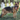DUOMM Heavy-Duty Dog Harness