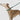HiDREAM All-in-One Training Lead