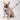 HiDREAM Castle Series Dog Harness