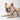 HiDREAM ColorSplash Y-Shaped Harness