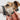 HiDREAM Gentle Control Dog Head Halter