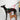 HiDREAM Multi-Function Extension Lead