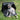 HiDREAM Pet Travel Shoulder Tote Bag