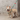 HiDREAM Rainbow Adjustable Leash