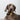 HiDREAM Rainbow Shock-Absorbing Dog Collar
