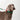 HiDREAM Rainbow Shock-Absorbing Dog Collar