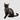 HiDREAM Round Rope Cat Harness & Leash Set – Adjustable
