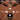 TOW PREY Angus Beef Dog Food