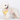 DOUMM Floral Dog Harness & Leash Set