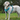 DUOMM TraceGuard Mesh Pet Harness with AirTag Holder