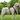 DOUMM Multi-Function Dog Harness with Handle & Pocket