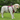 DOUMM Multi-Function Dog Harness with Handle & Pocket