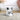 PETKIT Fresh Element 3- Smart Pet Feeder