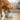 SUPER DESIGN Decal Elevated Stainless Steel Pet Bowl(blue)