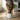 SUPER DESIGN Decal Elevated Stainless Steel Pet Bowl(white)