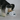 SUPER DESIGN Stainless Steel Decal Pet Tilted Bowl