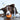 LaRoo Squeaky Olive Rubber Dog Toy Ball