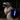 LaRoo Glow Pup Square Pattern Velcro LED Dog Collar
