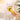 AIWO Honey Bee Gentle Pin Comb