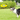 EETOYS Floating Rubber Dog Frisbee