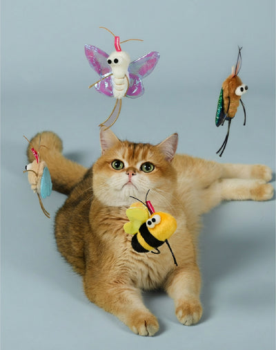 Cat Toys