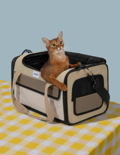 Cat Carrier & Travel