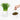 Michu All-in-One Soil-Free Cat Grass Grow Kit